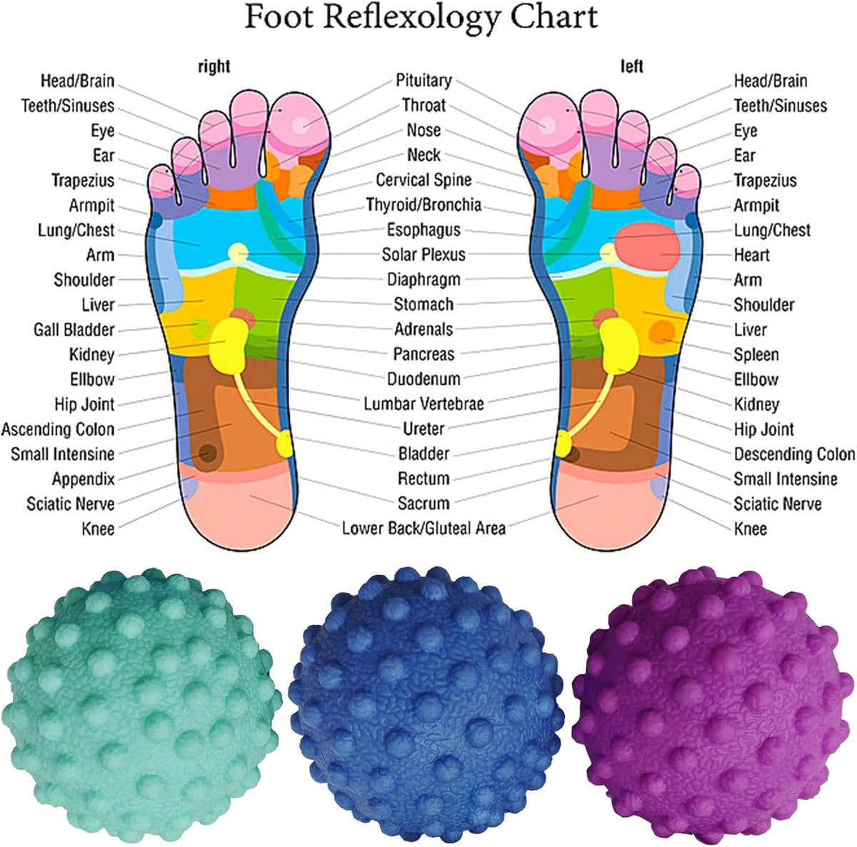 Foot Massage Ball Myofascial Release, Pain Relieve from Plantar Fasciitis