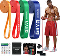 Resistance Bands Set for Men & Women - 4 Levels Exercise Band with Door Anchor, Pull Up Bands for Strength Training, Stretching, Powerlifting, Home Workouts