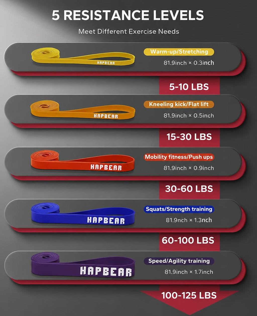 HAPBEAR Pull Up Assistance Bands - Pull Up Bands - Resistance Bands - Exercise Bands Resistance Bands Set of 5 - Workout Bands for Working Out, Stretching, Muscle Training